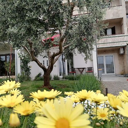 Leona Apartment Vidikovac, Pula Buitenkant foto