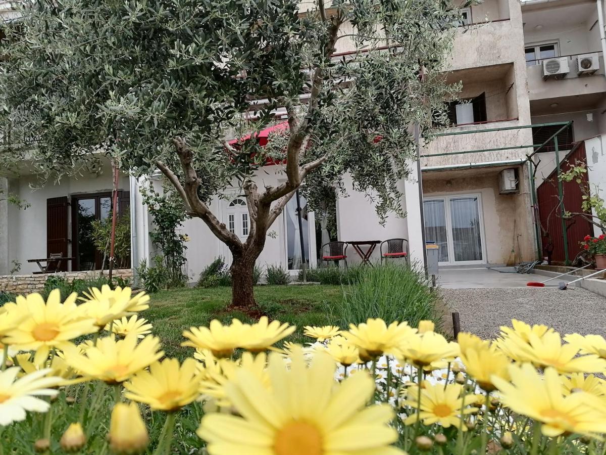 Leona Apartment Vidikovac, Pula Buitenkant foto