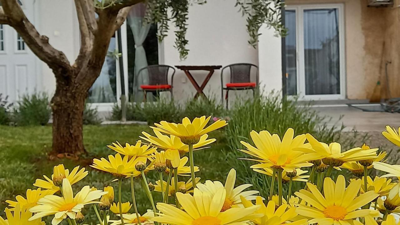 Leona Apartment Vidikovac, Pula Buitenkant foto